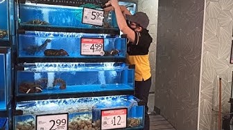 Ntuc Youtube