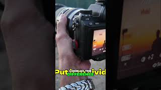 Vivid Camera Trick  Make Your Backgrounds POP! Photography Tip #shorts