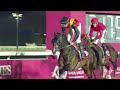 RM 33  Al Rayyan Race 5 -  Baidda Algaa Cup