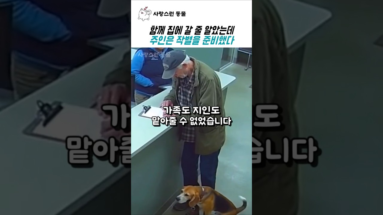 함께 집에 갈 줄 알았는데 할아버지는 작별을 준비했다