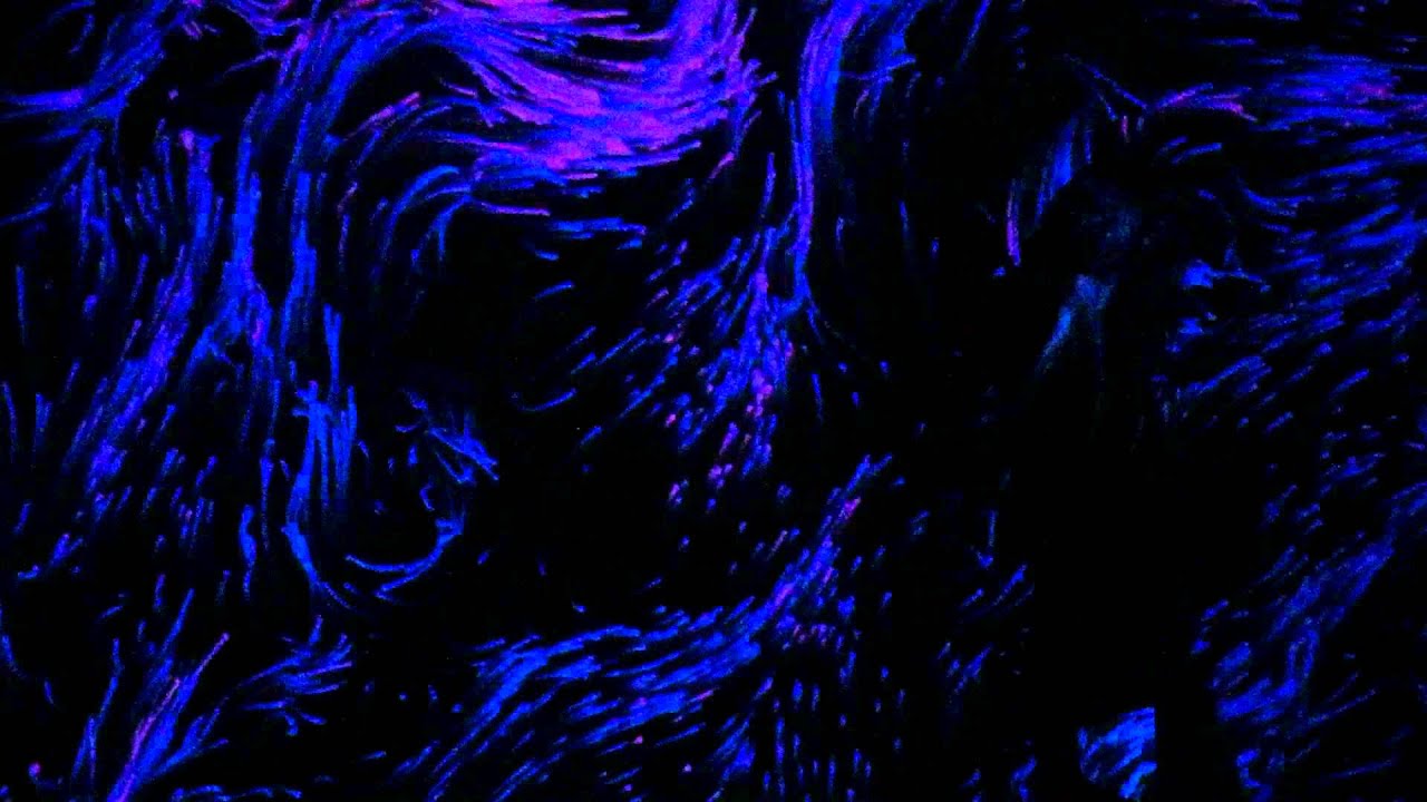 Выставка МАРС Перформанс Москва Арт искусство - YouTube