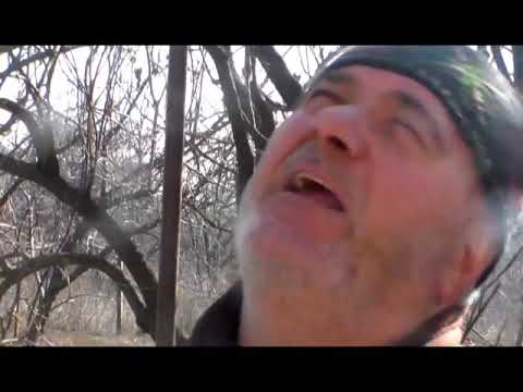 ნიკო ბაღაშვილის ფილმი ჩანახატი  ----- პოეტი დავით ტიგინაშვილი\"მუზის ქარიშხალი\"