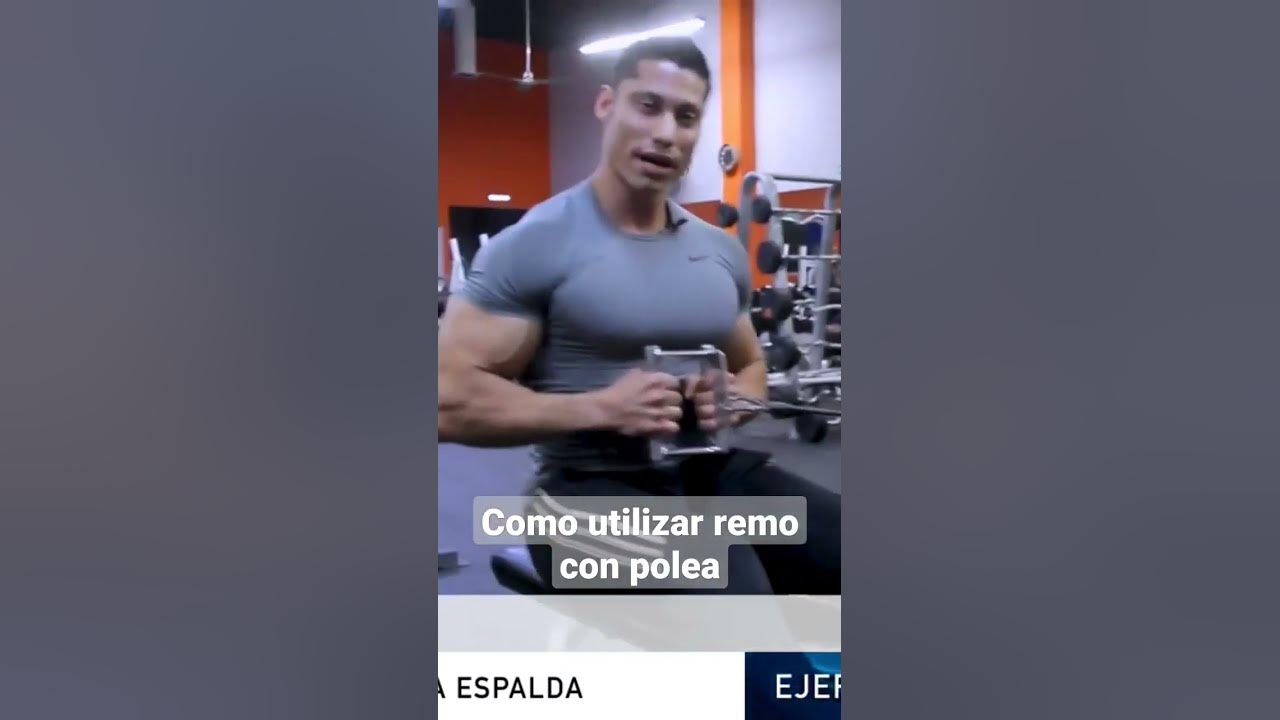 Angulo De Remo Estribo Agarre Accesorio Para Polea Gym Df