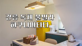 강릉 펜션 추천 신축 독채 풀빌라 하쿠나마타타