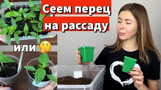 Как сеять ПЕРЕЦ, с пикировкой или без. Можно ли заглублять рассаду перца