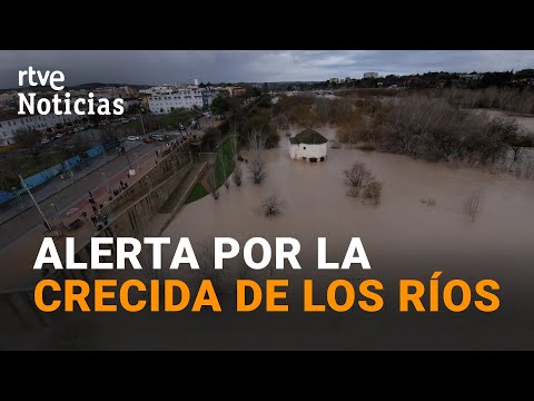 BORRASCA LEONARDO | Una CRECIDA HISTÓRICA obliga a DESALOJAR a MILES de PERSONAS en ANDALUCÍA