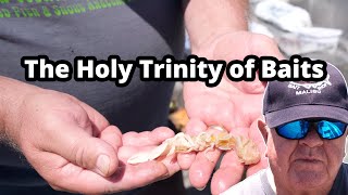 The Holy Trinity of Baits (Saltwater Worms, Ghost Shrimp, and Mussels) for Inshore & Bay Fish