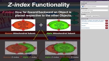 PathWhiz Pt. 2 Tutorial: Pathway Propagation & Replication