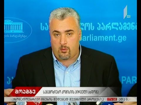 ხორავას ქუჩაზე მომხდარი მკვლელობის საქმეზე დროებითი საგამოძიებო კომისია სამუშაო ფორმატში მსჯელობს