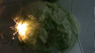 How To Blow Up a Lettuce