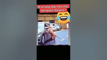 Không xả rác bừa bãi #dog #funnyvideo #funny