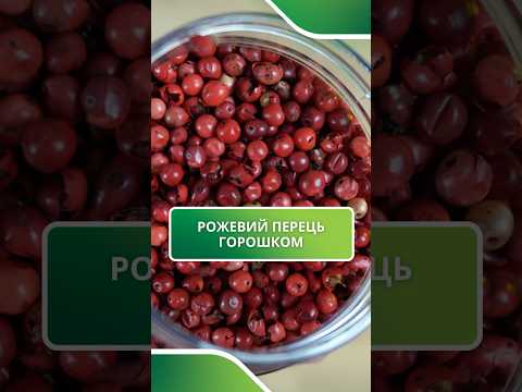 Розовый перец горошек CraftOil 100 г — натуральная специя для еды и кулинарии, видео 2