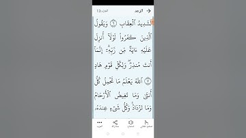 سورة الرعد صفحة (٢٥٠)