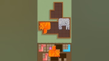 Puzzle Cats Solving #cat #gaming  P26