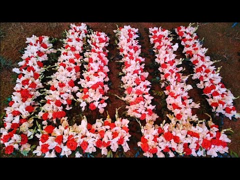 ভিডিও: কিভাবে একটি সুন্দর তোড়া বানাবেন