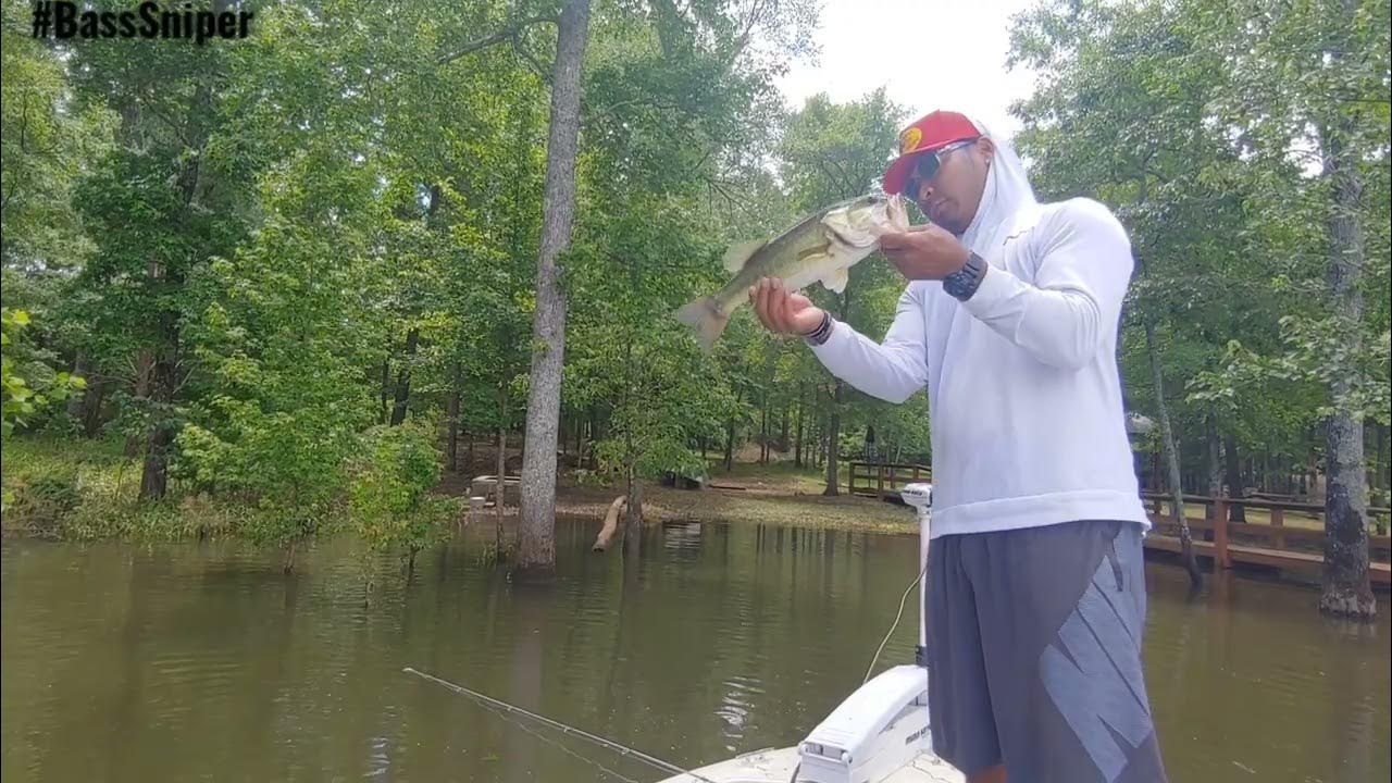 Fishing Flooded Taylors Creek (Lake Wateree)...Winnsboro, SC YouTube