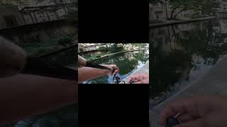 Celebrity Catching RIVERWALK Fish SAN ANTONIO 🔥🔥🔥 #shorts #fishing #fishingvideo Net Worth