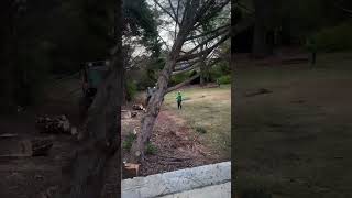 Jireh Tree Services Landscaping