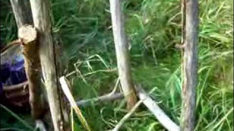 Nancy Today: How to make a twig table 3 ASMR