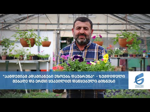 \"პანდემიამ ადამიანები ეზოებს დაუბრუნა\" - ზუგდიდელი მებაღე და ერთი ყვავილით დაწყებული ბიზნესი