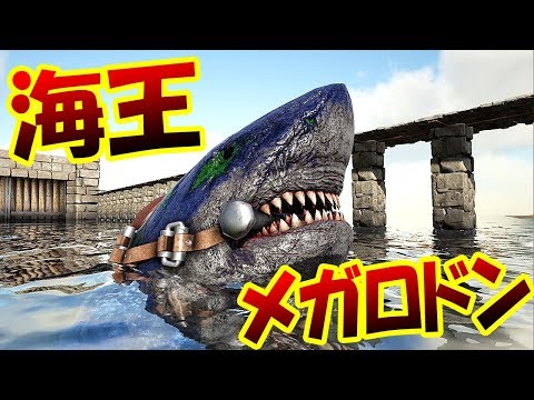 海の王者メガロドンをテイム ついに恐怖の海へ進出だ 恐竜サバイバル生活 25 Ark Survival Evolved Youtube