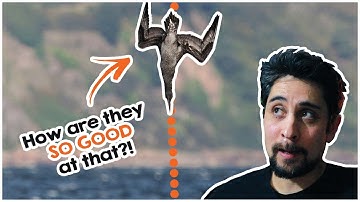 Exponentials, Quadratics, and Linear graphs | NCEA Level 1 Exam