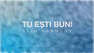 Video thumbnail of "Elim Harmony-Tu ești bun"