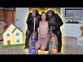 CHIMPANZEES LEARN HOW TO CLEAN A HOUSE!