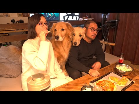 映画なんかよりもピザとポップコーンの方が気になる愛犬達