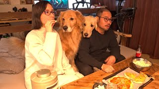 映画なんかよりもピザとポップコーンの方が気になる愛犬達