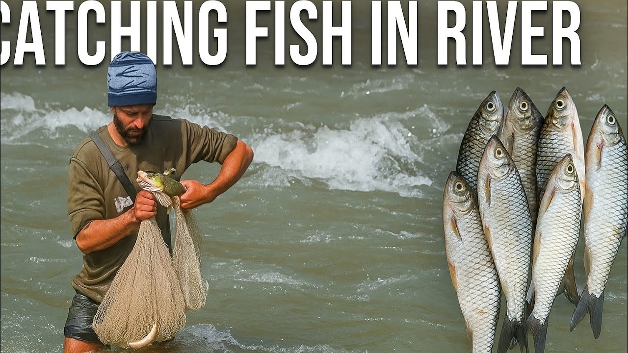 Catching Fish in River | Amazing Cast Net Fishing Technique | How to ...