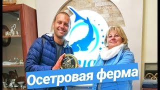 ОСЕТРОВАЯ ФЕРМА ТИРАСПОЛЬ - ТУР ИЗ ОДЕССЫ