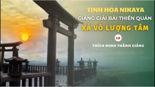 Tinh Hoa NIKAYA - Giảng Giải Bài Thiền Quán - Xả Vô Lượng Tâm 10
