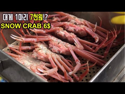 1마리 7천원 구룡포 대게 / Steamed Snow crab / Korean seafood / Korean street food / 포항구룡포
