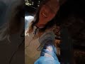 アフタヌーン • グラフィティ #うたってみた Instaライブ
