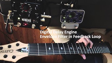 Nemesis Delay - Envelope Filter in Feedback Loop