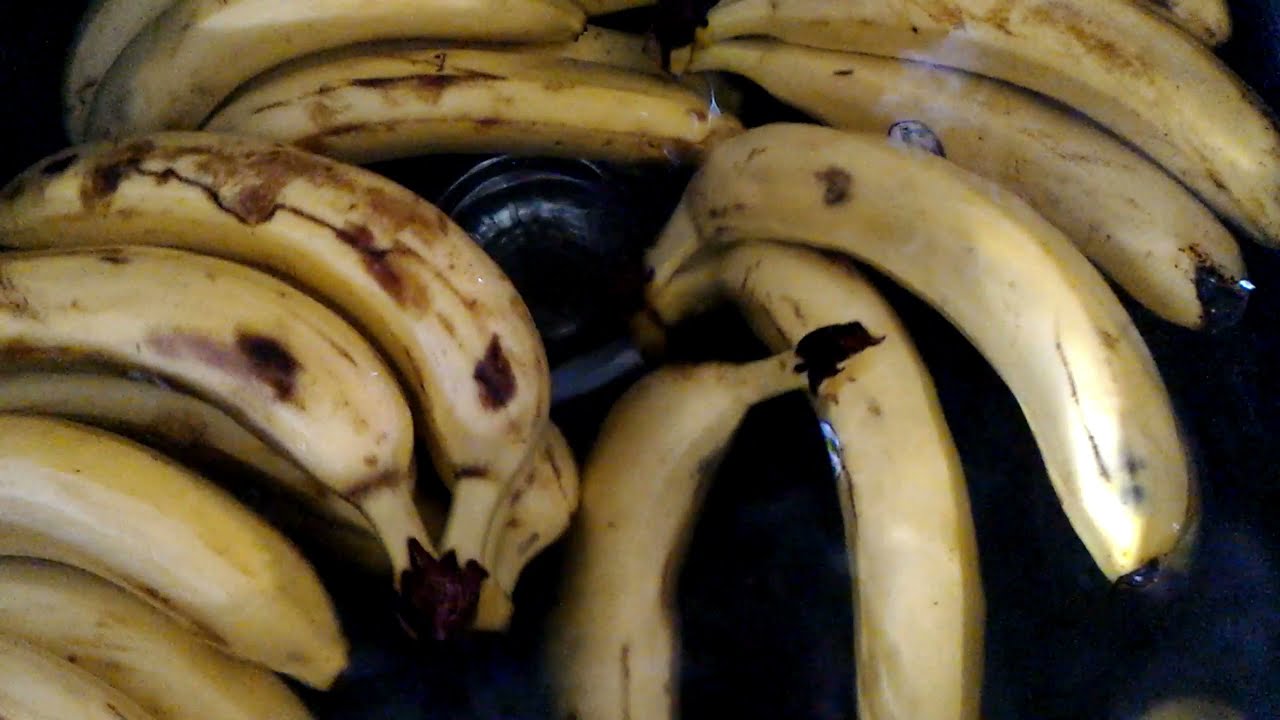 Do bananas float in the water? YouTube