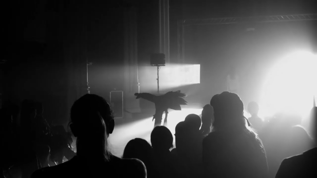 Nocturnal · Runway production · Dance.Film.Performance (DFP)