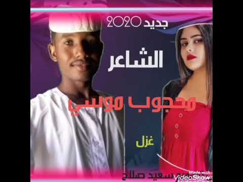 الشاعر محجوب موسى غزل