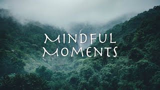 Mindful Moments - Relaxation - Mindfulness - Focus