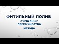 Фитильный полив. Очевидные преимущества метода