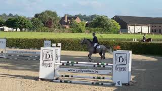 Perseus de Muze 5yr old cyclus Mivaro