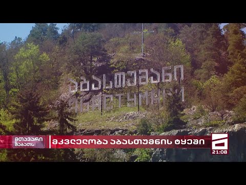 მკვლელობა აბასთუმნის ტყეში | \"ოცნება\" მკვლელობაში ბრალდებულ ძმებ ბაღდოშვილებს ხელს აფარებს