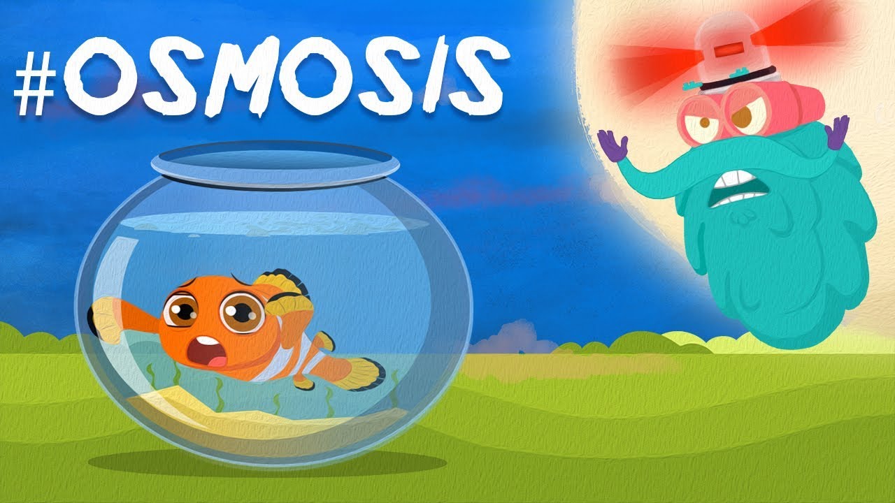 What Is Osmosis  The Dr Binocs Show  Best Learning Videos For Kids  Peekaboo Kidz