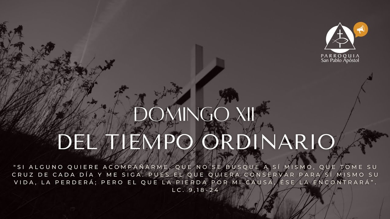 Domingo XII del Tiempo Ordinario. 22 de junio 2025. Santa Misa 11:00 a.m.