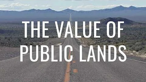 Chapter 3 - Adrian Angulo on the Value of Public L...