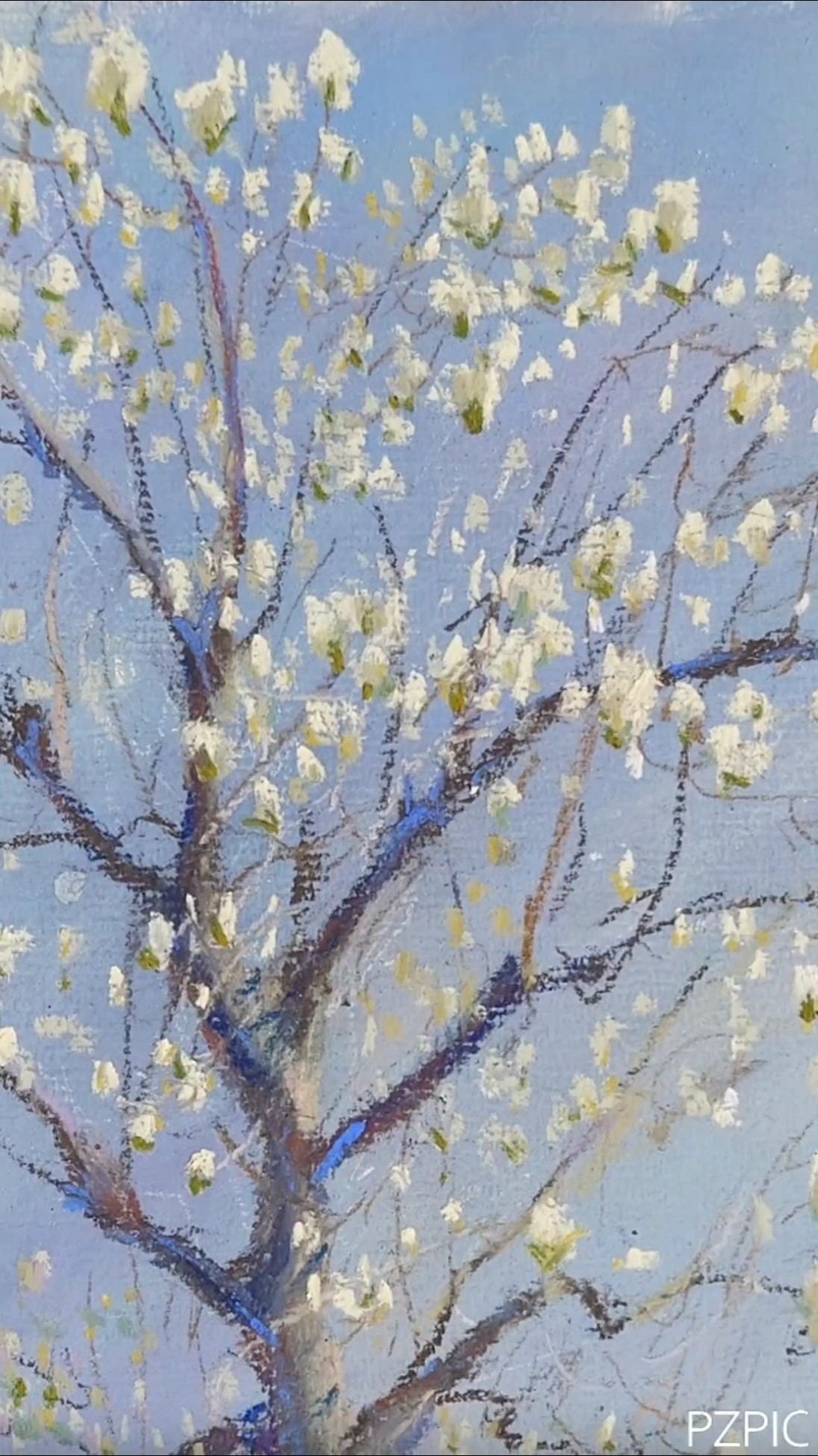 Kayo Matsukawa Drawing - YouTube