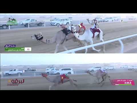 ش3 تروجينا ل سفر مبلش سفر البقمي منافسات موسم الطائف 17 07 2025ص حقايق بكار مفتوح 4 34 85