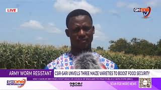 CSIR–SARI Develops High-Yield Hybrid Maize to Protect Farmers from fall Armyworm  Attacks