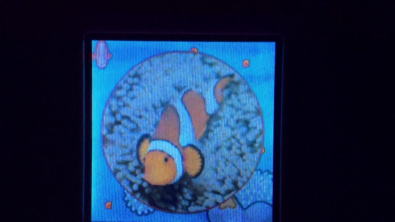 camera iphone 8 plus apk Leapster Animal Genius: Maze Munch Episode 9: Clown Fish